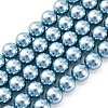 Shell Pearl Beads Strands BSHE-K015-10mm-02-1