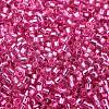 Glass Seed Beads SEED-S042-04B-19-3