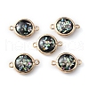 Resin Imitation Opal Connector Charms RESI-WH0021-55G-1