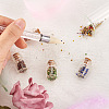 Fashewelry About 5500Pcs 11 Colors Glass Pointed Back Rhinestone RGLA-FW0001-04-7