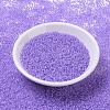 MIYUKI Round Rocailles Beads X-SEED-G007-RR1924-2