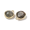 Brass Pave Natural Labradorite Faceted Flat Round Charms G-U028-03G-06-2
