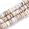 Natural Freshwater Shell Beads Strands X-SHEL-N003B-02-2