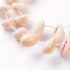 Natural Cowrie Shell Beads Strands X-BSHE-L036-32E-03-2
