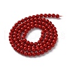 Shell Pearl Beads Strands BSHE-XCP0001-74B-3