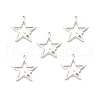 Non-Tarnish 201 Stainless Steel Pendants STAS-N098-107P-2