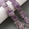 Natural Amethyst Beads Strands G-I283-F24-1