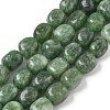 Dyed Natural Malaysia Jade Beads Strands G-P528-I09-01-1