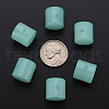 Imitation Jelly Acrylic Beads MACR-S373-88-E02-4