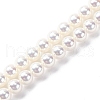 UV Plating Pearlized Glass Pearl Beads Strands GLAA-F128-01A-T1-1