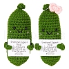DIY Knitting Cucumber Ornaments Kits PW-WG58934-01-5