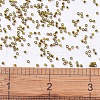MIYUKI Delica Beads SEED-X0054-DB0604-4