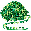 AHADERMAKER 6.5 Yards Gradient Color Polyester Pom Pom Ball Tassel Ribbons DIY-GA0006-95C-1