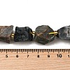 Raw Rough Natural African Bloodstone Beads Strands G-Z087-B07-5