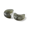 Natural Labradorite Beads X-G-NH0001-01D-2