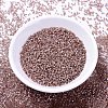 MIYUKI Delica Beads SEED-J020-DB1879-2