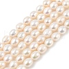 Natural Cultured Freshwater Pearl Beads Strands PEAR-I007-01D-01A-2