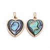 Natural Abalone Shell/Paua ShellCharms X-BSHE-F011-04B-G-1