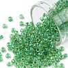 TOHO Round Seed Beads SEED-JPTR08-0187-1