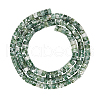 Natural Green Spot Jasper Beads Strands G-AR0004-12-1