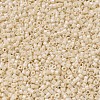 MIYUKI Delica Beads SEED-X0054-DB0204-3