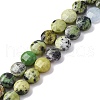 Natural Serpentine Beads Strands G-C179-A48-03-2
