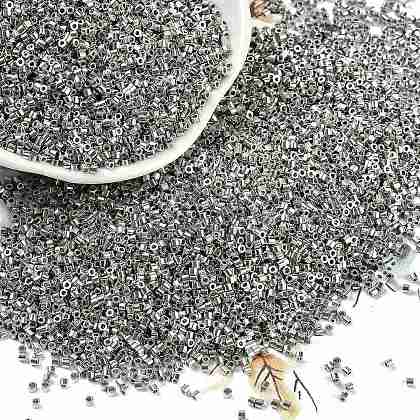 Electroplate Glass Seed Beads SEED-H003-10E-1