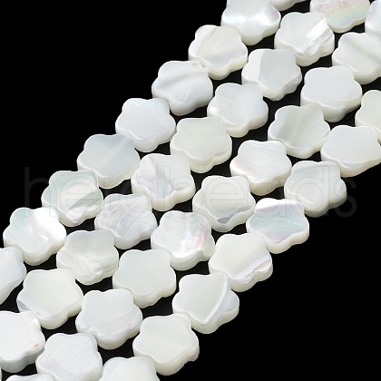 Natural Trochus Shell Beads Strands X-BSHE-P033-07-1