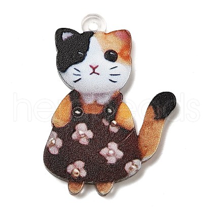 Transparent Printed Acrylic Pendants OACR-E043-06A-1