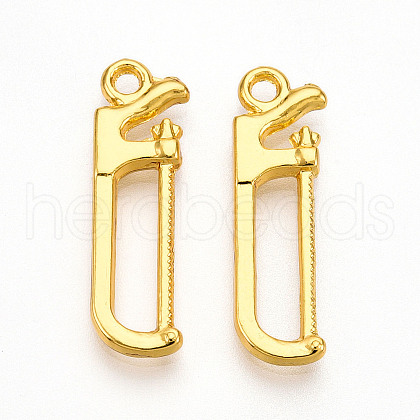 Alloy Pendants X1-PALLOY-N176-123G-1