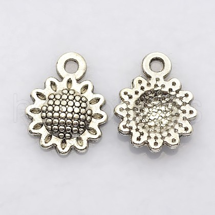 Tibetan Style Alloy Charms X-LF10257Y-1