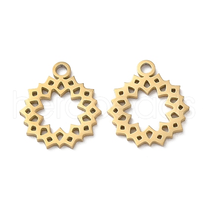 Ion Plating(IP) 304 Stainless Steel Charms STAS-Q303-06G-1
