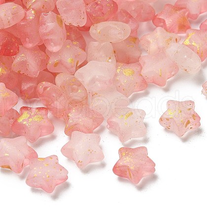 Frosted Acrylic Charms OACR-M023-04H-1