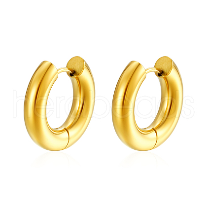Elegant Stainless Steel Hoop Earrings HD2575-3-1