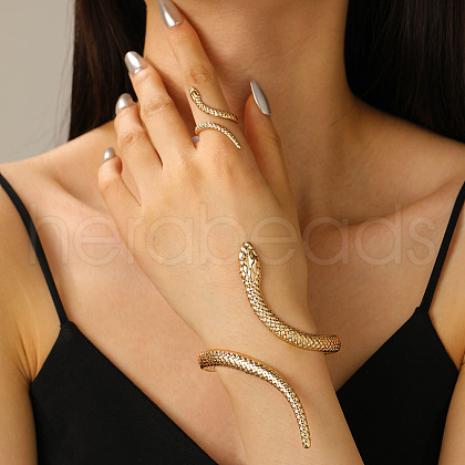 Snake Alloy Cuff Bangles & Cuff Rings Sets FS-WG6CA5E-01-1