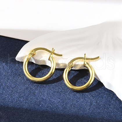 925 Sterling Silver Hoop Earrings STER-P047-13A-G-1