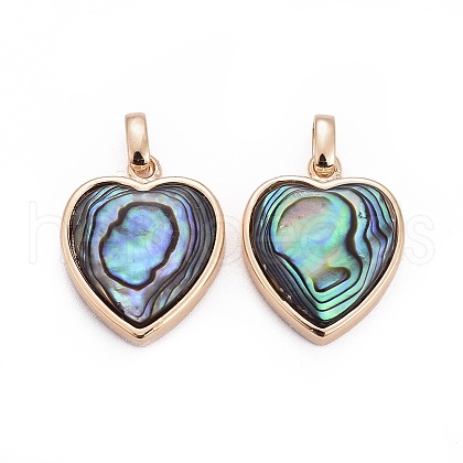Natural Abalone Shell/Paua ShellCharms X-BSHE-F011-04B-G-1