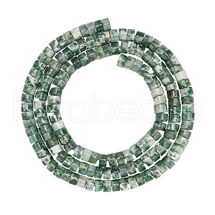 Natural Green Spot Jasper Beads Strands G-AR0004-12-1