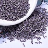 MIYUKI Delica Beads SEED-J020-DB1065-1
