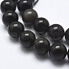 Natural Ice Obsidian Beads Strands G-A171-16-10mm-3