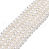 Natural Cultured Freshwater Pearl Beads Strands PEAR-F018-07-01-1