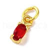 Rack Plating Brass Micro Pave Cubic Zirconia Charms KK-F881-03G-3
