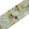  2 Strands Natural Flower Amazonite Beads Strands G-NB0004-59-7