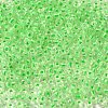 12/0 Transparent Glass Seed Beads X-SEED-F003-03C-13-3