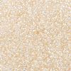 MIYUKI Round Rocailles Beads X-SEED-G008-RR0281-4