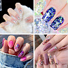 10 Boxes 10 Colors PET Shiny Nail Art Glitter MRMJ-TA0001-33-8