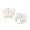 Natural White Shell Carved Beads SSHEL-I026-12F-07-2