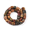 Natural Polychrome Jasper/Picasso Stone/Picasso Jasper Beads Strands G-T140-60A-2