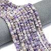 Frosted Natural Amethyst Beads Strands G-K389-C25-01-1