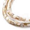 Natural Freshwater Shell Beads Strands X-SHEL-R129-05-3